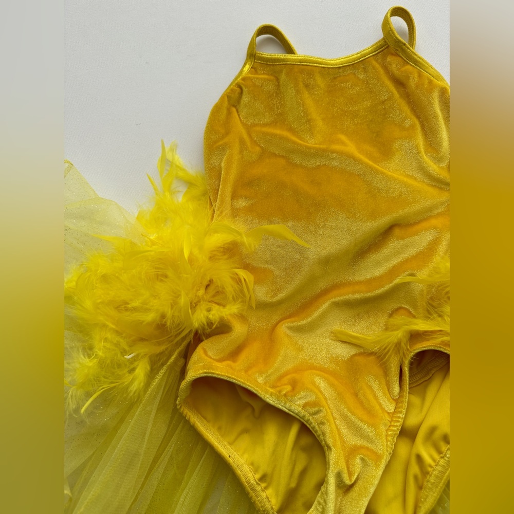 Jazzamatazz -Dance/Figure Skating Costume - Yellow Velvet-Tulle & Feather Skirt - Picture 2 of 9